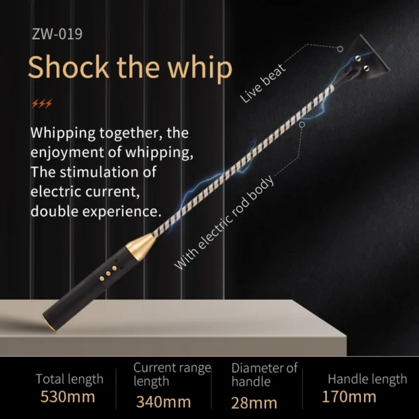 BDSM - Electric shock training whip (ZW-019) - Image 3