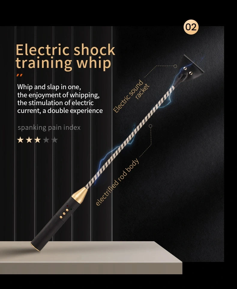 Roomfun ZW-019 electric shock training whip product view 1