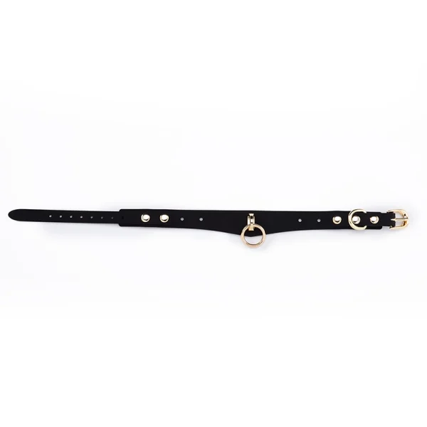 BDSM Leash – Silicone collar leash (ZW-090) - Image 6