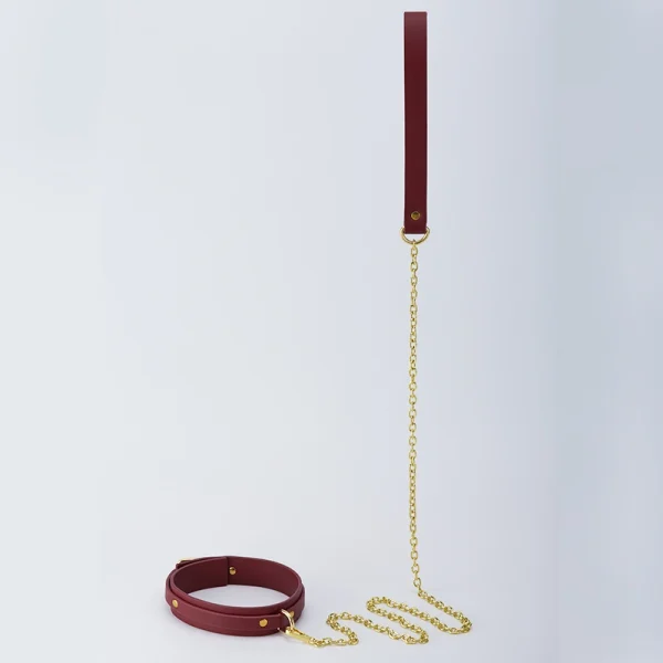 BDSM Leash – Collar (ZW-094) - Image 4