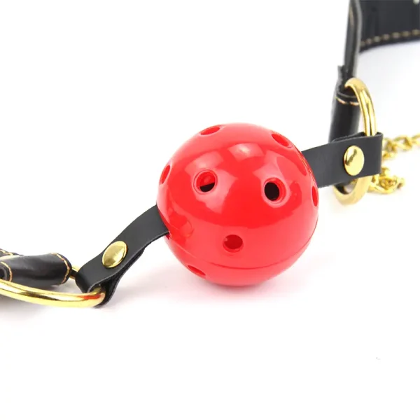 BDSM Nipple Clamps – Mouth Gag & Nipple clamps (PR-006) - Image 4