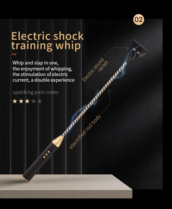 BDSM Paddle - Electric shock training whip (ZW-019) - Image 2