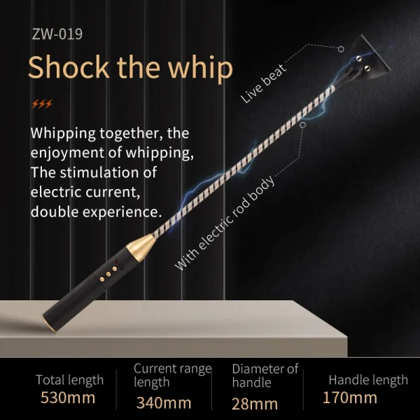 BDSM Paddle - Electric shock training whip (ZW-019) - Image 3