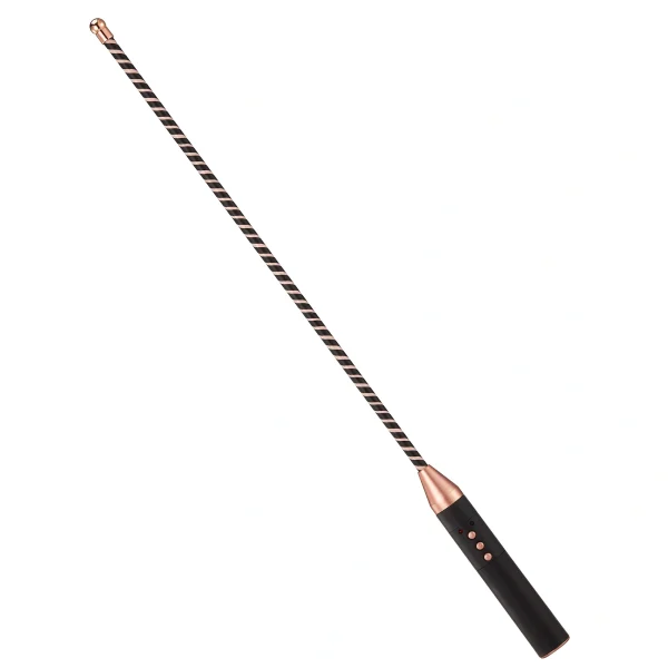 BDSM Paddle - Electric shocktraining rod (ZW-112)