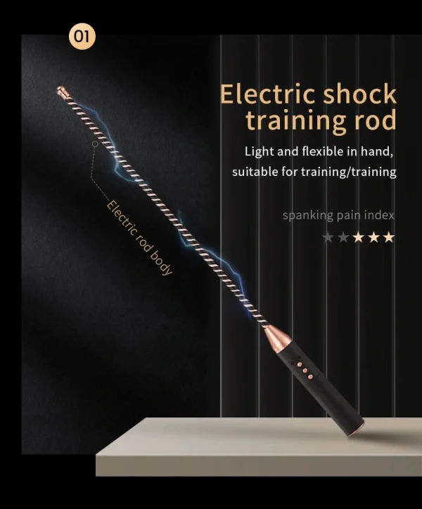 BDSM Paddle - Electric shocktraining rod (ZW-112) - Image 2