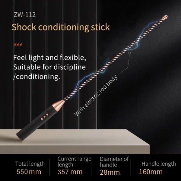 BDSM Paddle - Electric shocktraining rod (ZW-112) - Image 3