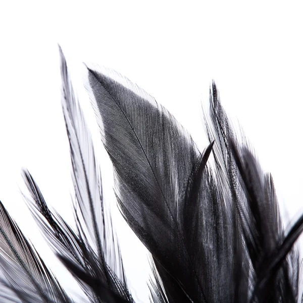 Flirting Feathers – Feather beads (QS-013) - Image 5