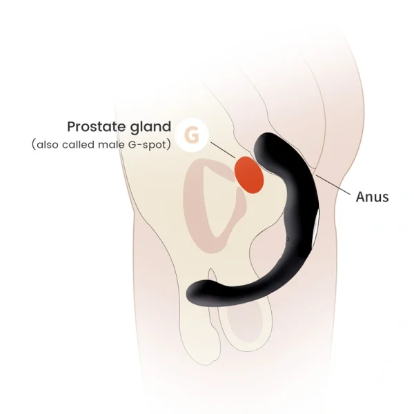 SM Toys – Prostate Massager (QS-037) - Image 14