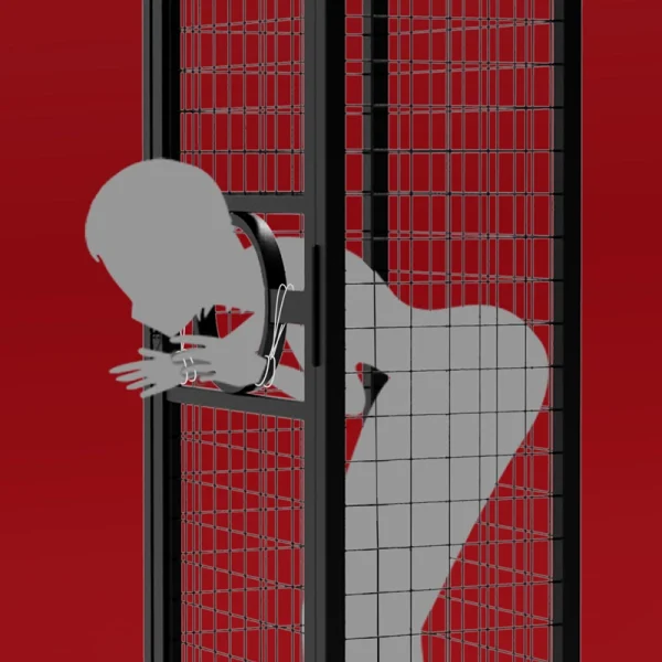 Sex Appartments – Roomfun Prisoner’s Cage Standing Cage (ZW-045) - Image 6