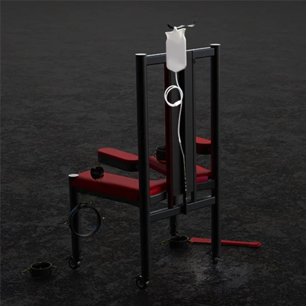 Sex Appartments – Roomfun Torture Chair (ZW-049) - Image 17