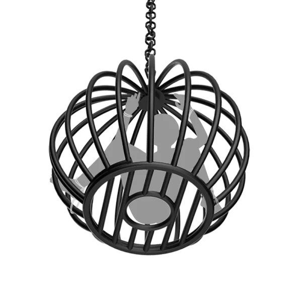 Sex Appartments – Roomfun pumpkin cage hanging cage (ZW-042) - Image 2