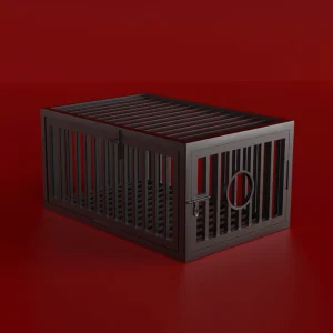 Dungeon Equipment，Sex Dungeon Equipment，Roomfun Prisoner's Cage (1)