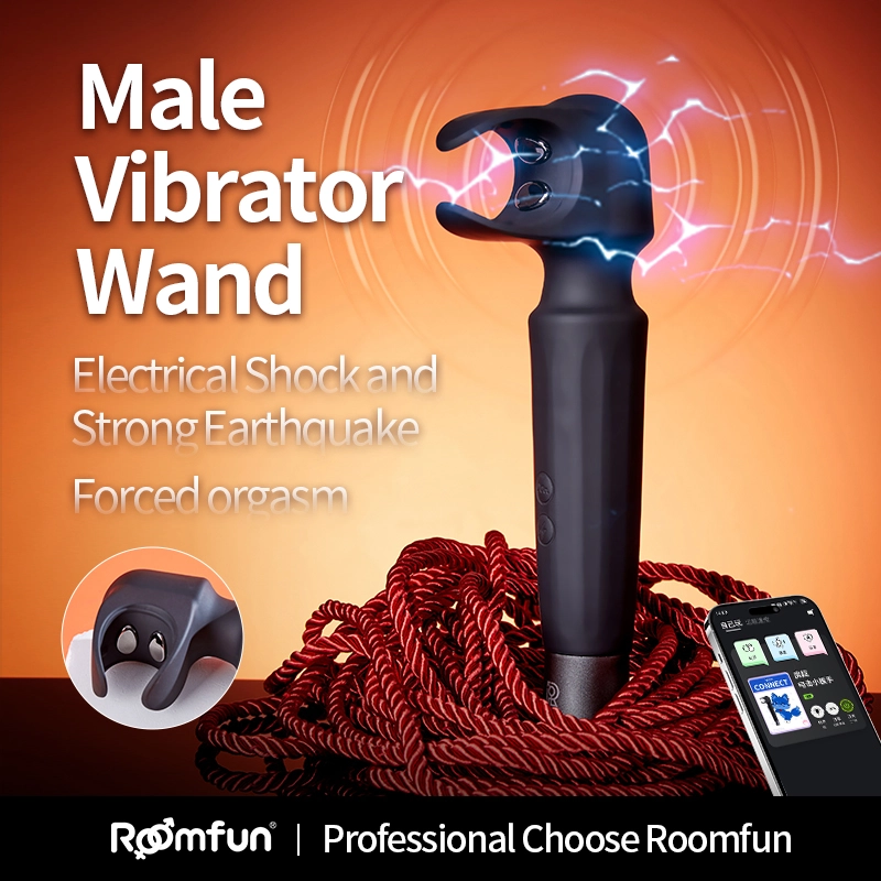 BDSM,BDSM Toys,BDSM Sex Toys,QS-085A Male E-Stim Massager (1)