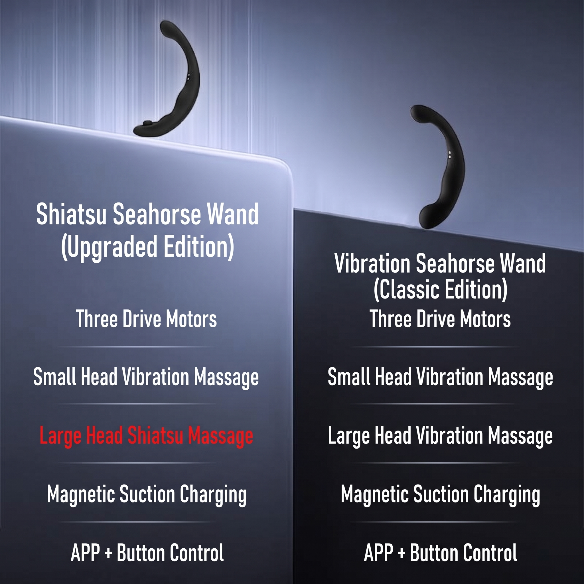 Acupressure-style Prostate Massager QS-088 (5)